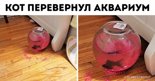 24 людини, яким фортуна посміхнулася в самий потрібний момент