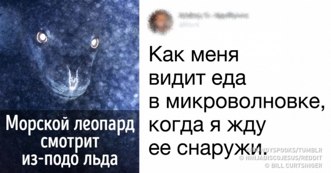 16 осіб, які бачать у звичайних речах трохи більше, ніж ми з вами