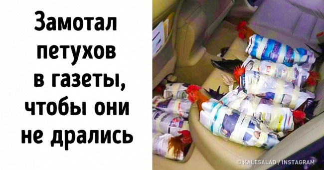 24 людини, які можуть вирішити будь-яку проблему в два рахунки