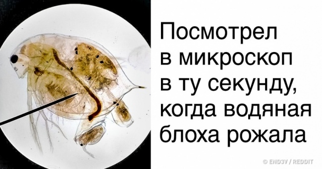 25 осіб, яких життя зробило такі сюрпризи, що неможливо мовчати