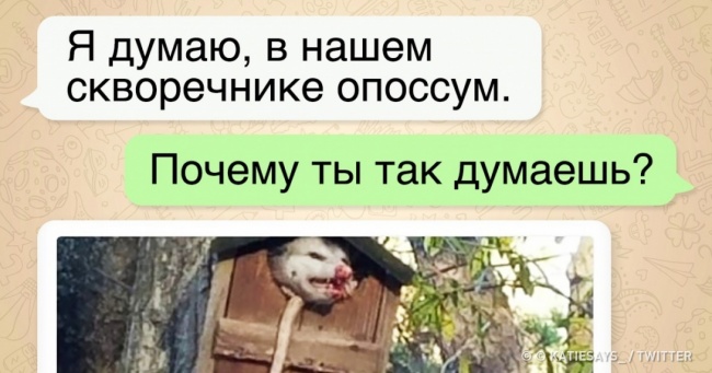 25 людей, у яких все життя пронеслася перед очима