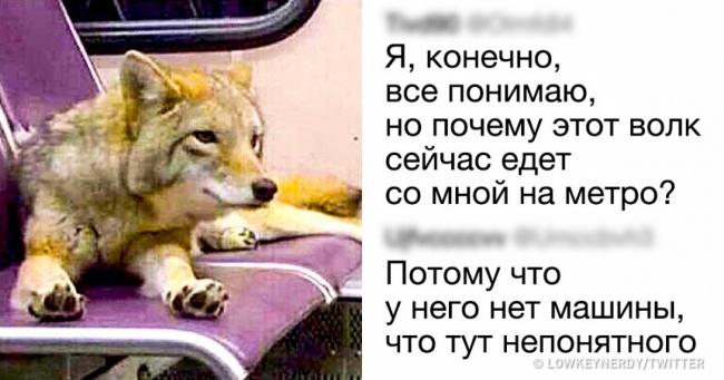 24 людини, які за убивчим відповіддю на просте запитання у кишеню не полізуть