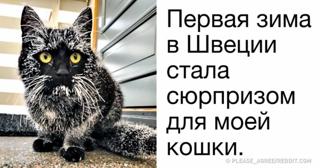 19 доказів того, що зима — випробування не для слабкодухих