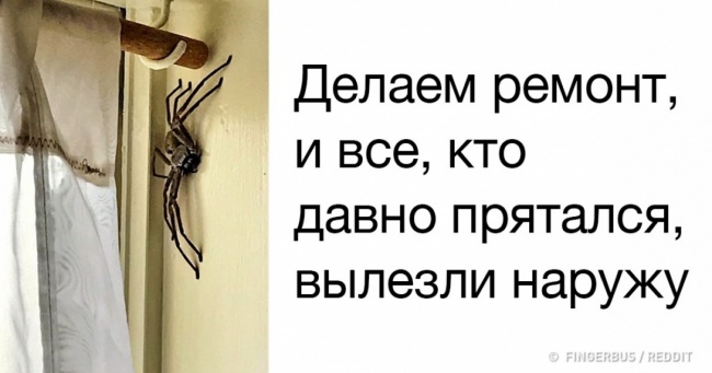 25 знімків, від яких у кожного затрясутся жижки