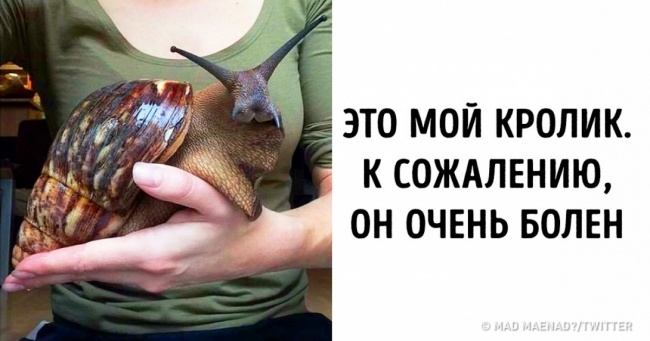 17 осіб, у яких таке гостре почуття гумору, що може вразити кого-небудь наскрізь
