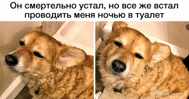 Подивіться на тих, хто знає, що таке справжня турбота