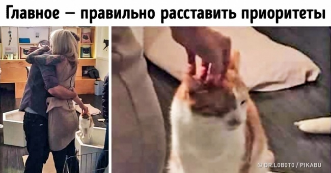 25 осіб, які наплювали на цю вашу романтику і знайшли розвага краще