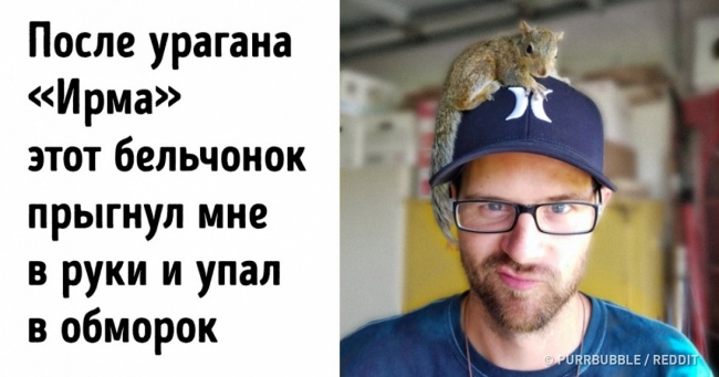 26 знімків, зроблених на ранок після стихійного лиха