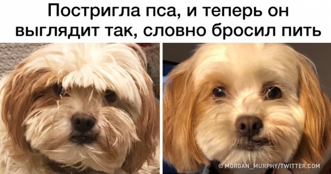 25 людина, чиє почуття гумору можна спокійно назвати сверхспособностью