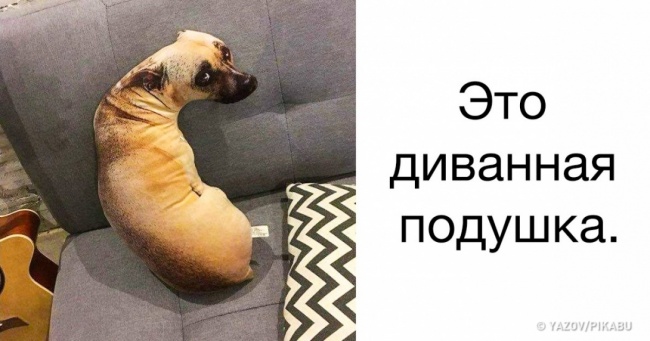 24 фотографії, які переконають вас у тому, що своїм очам вірити не варто