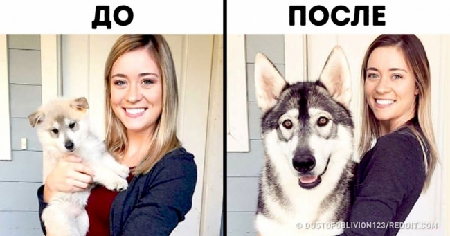 25 фотографій про те, як сильно може змінитися світ навколо нас