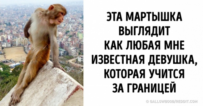 25 осіб, чия уява настільки багато, що його пора на ніч замикати в сейфі