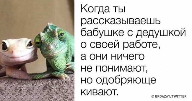 19 твітів про бабусь і дідусів, яким почуття гумору вже точно не позичати