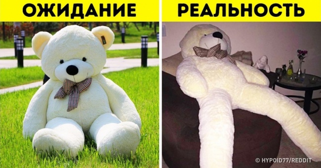 26 осіб, які гірко пошкодували про покупки в інтернеті