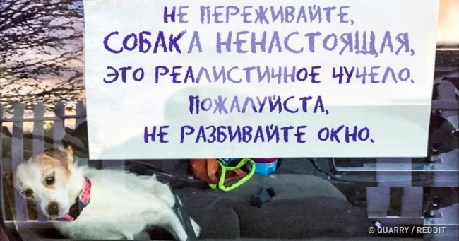 25 специфічних оголошень, повз яких важко просто пройти