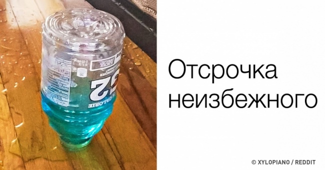 27 фотографій, на яких люди сфотографували причини своїх неприємностей