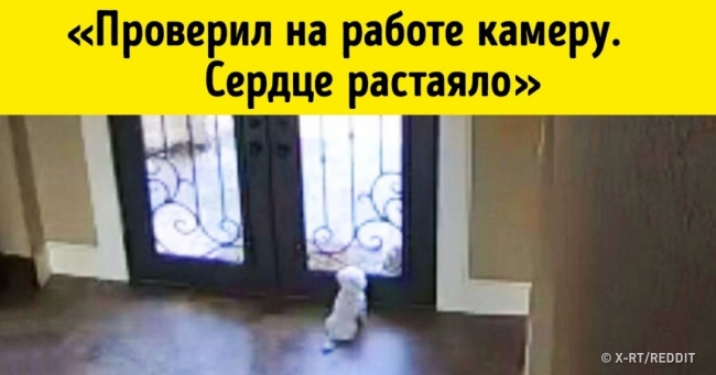 19 захоплюючих фото з камер спостереження, після перегляду яких захочеться поставити собі вдома таку ж
