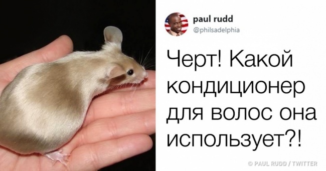 15 твітів від людей, у яких емоції виливаються через край