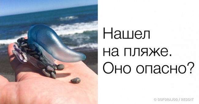17 незаперечних доказів того, що в інтернеті можна знайти відповіді на будь-які питання