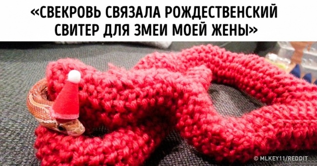 30 новорічних фото, в яких відсутній святковий дух