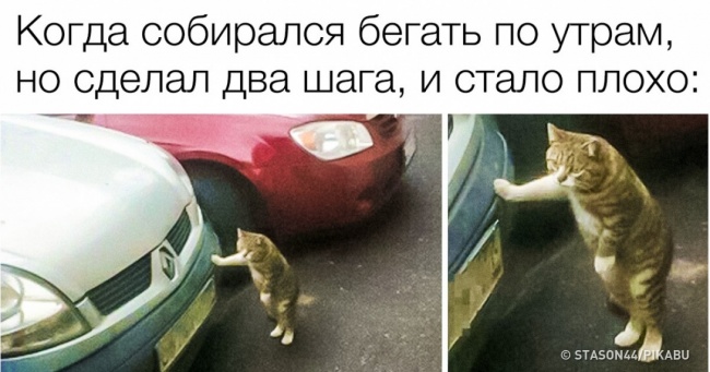 Ми всі хоча б раз намагалися схуднути, але ці 15 людей роблять це особливо смішно