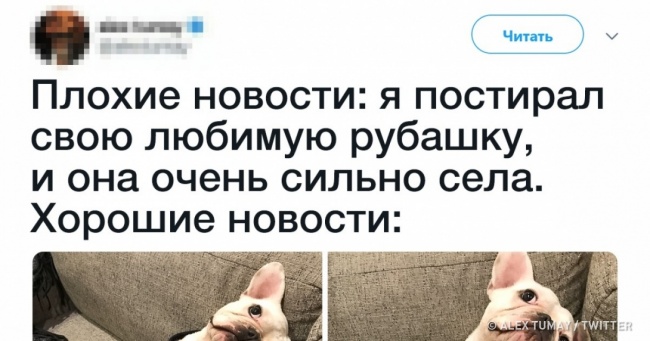 19 твітів від людей, які у всьому знайдуть свої плюси