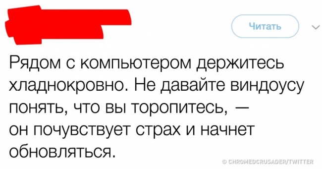 16 твітів з безцінними життєвими порадами