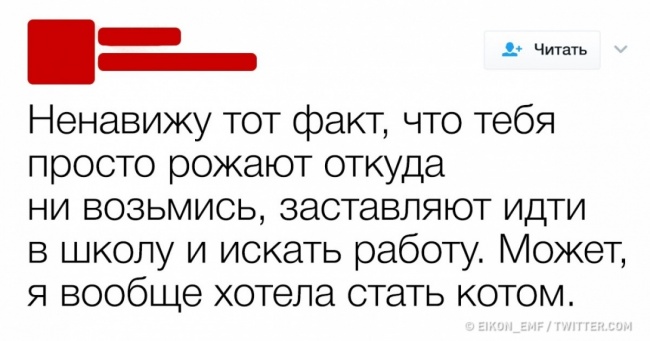 16 твітів від тих, у кого наболіло так, що сил терпіти більше немає