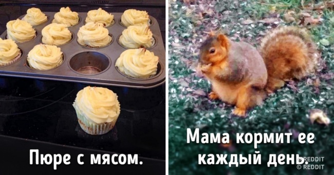 23 сміховинних докази того, що мамина винахідливість не знає меж