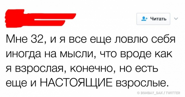 20+ твітів від людей, які змогли б викладати в школі сарказму