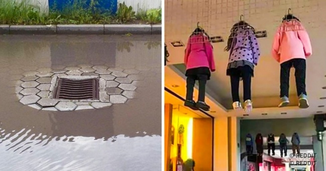 Ці 22 фотографії можуть звести з розуму будь-якого