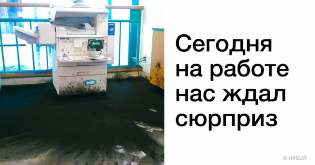 27 людей, у яких день почався явно гірше вашого
