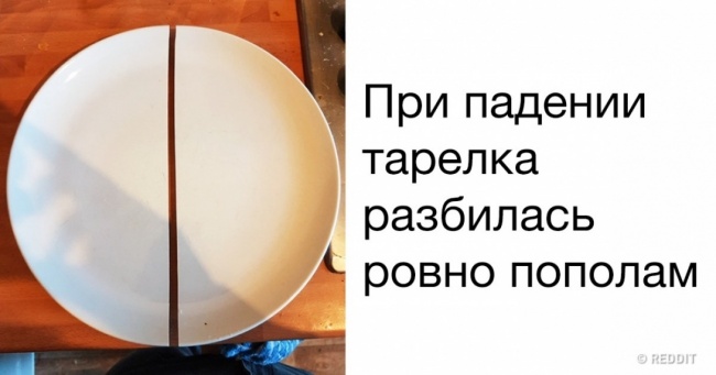 16 предметів, які настільки ідеальні, що навіть не віриться