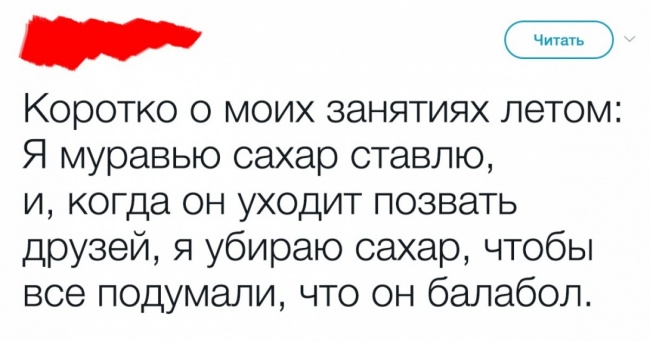 20 крутих твітів з дивним почуттям гумору
