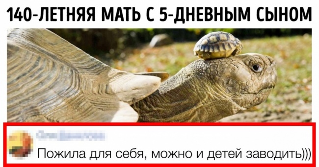 17 коментарів з інтернету, які зарядять позитивом на весь день