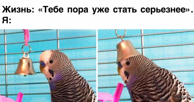 13 фото про те, що говорить мені життя і що роблю я