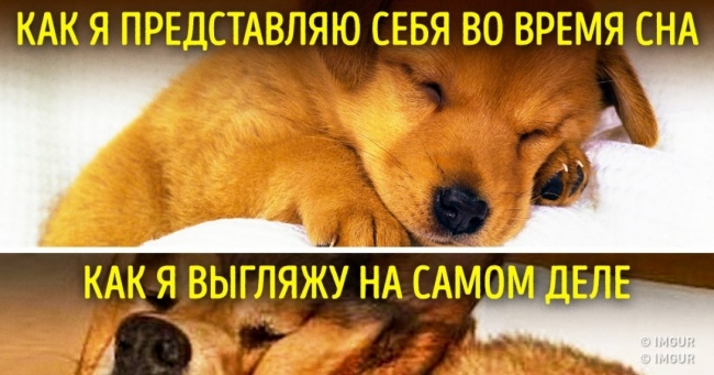 11 до болю знайомих ситуацій, які об'єднують всіх жінок у світі