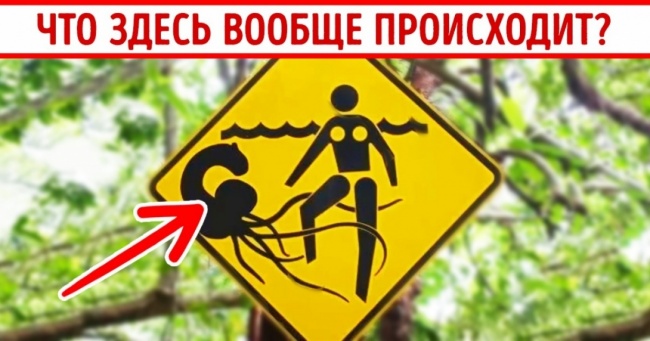 15 дорожніх знаків з прихованим змістом