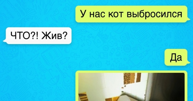 14 СМС-листування з несподіваним кінцем
