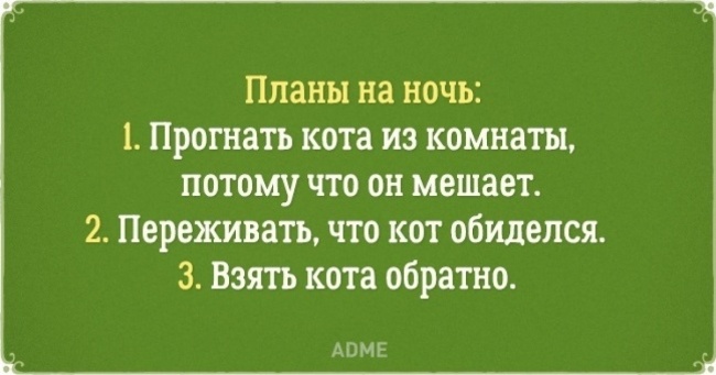 20 листівок про нелегке життя котів та їх власників