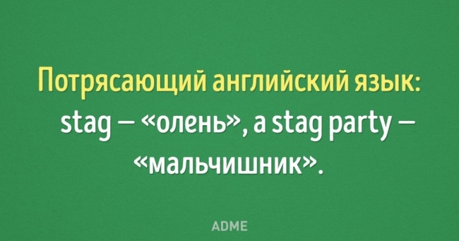 15 саркастичных листівок про труднощі перекладу