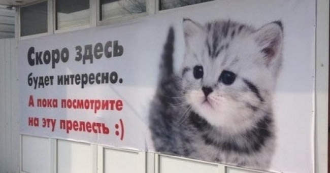 15 оголошень місяці, які неможливо забути
