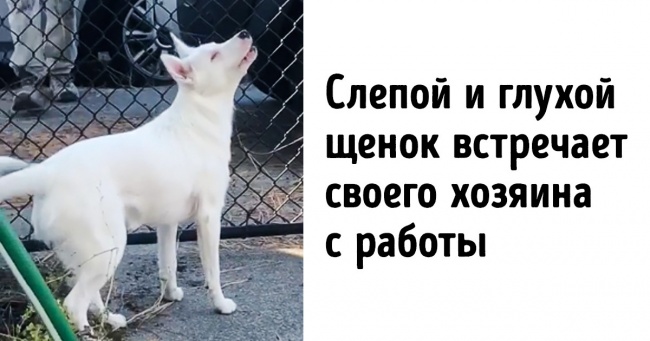 15 моментів, за кожним з яких ховається зворушлива історія