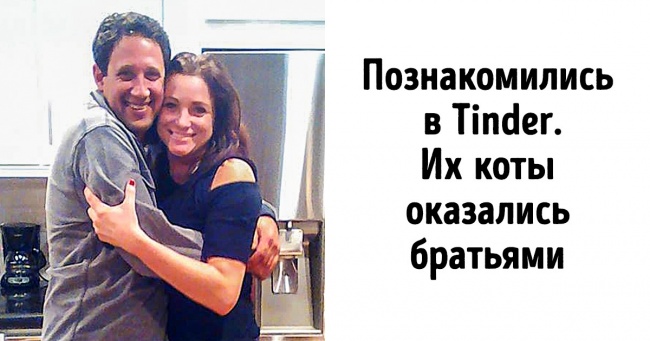 Доля вперто зводила разом чоловіка і жінку, але вони так і не полюбили одне одного, якби не котики