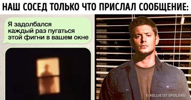 19 фото, на яких всі принади життя з сусідом