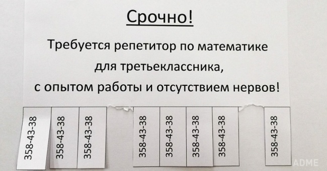 Ціле життя в оголошеннях 38