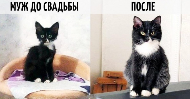 9 фотографій про те, як змінюється життя після весілля