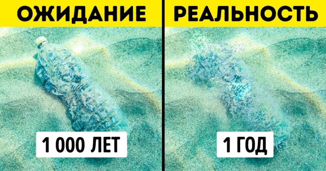 6 екологічних міфів, в які соромно вірити сучасній людині