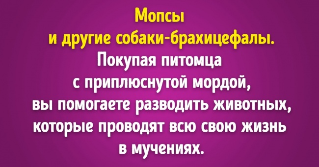 15 покупок, від яких вагомих причин відмовилися люди по всьому світу