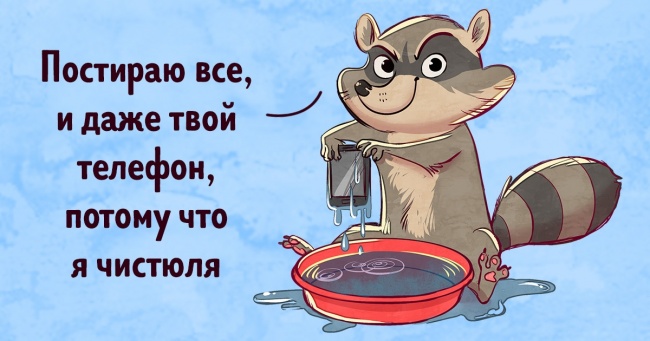 Екзотичні тварини чесно і з гумором розповіли про свій характер (А ви подумайте, чи варто їх заводити)